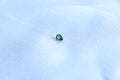 0.5 ct. Natural Pear Cut Blue Green Sapphire
