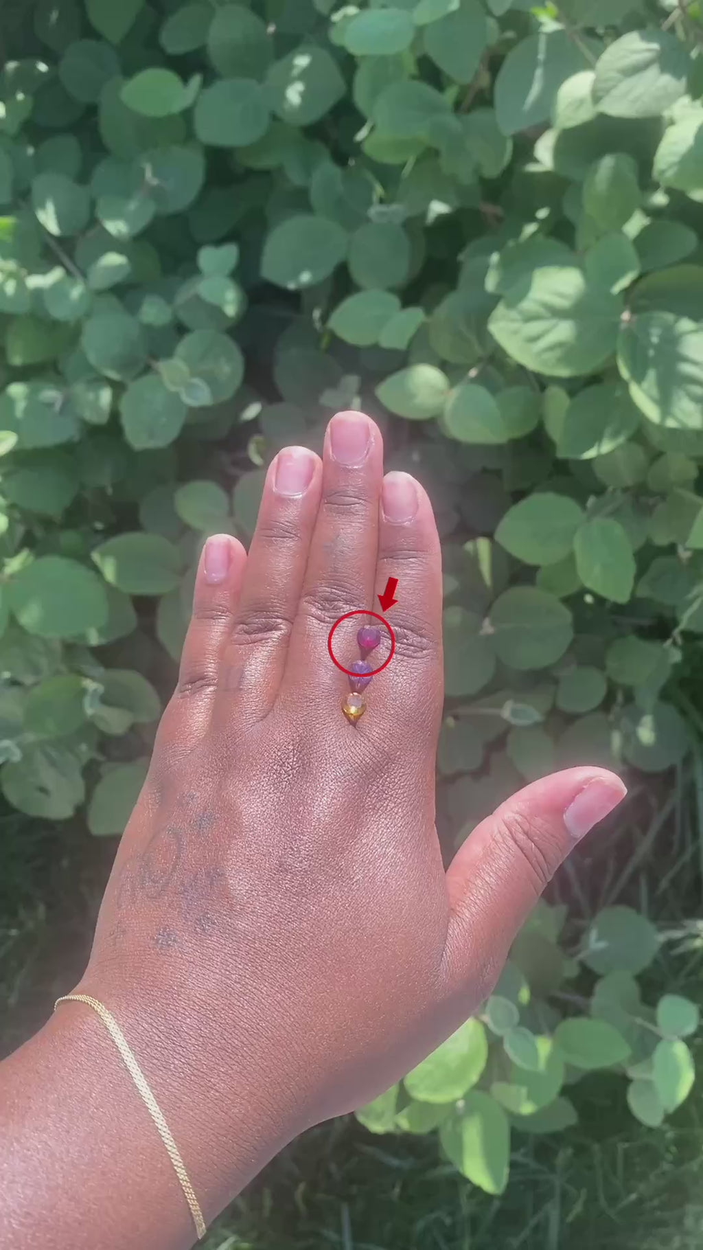 0.7-0.8 ct. Natural Round Rhodolite Garnet